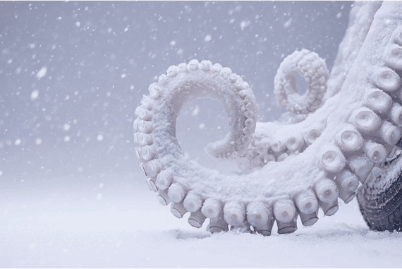 Oktopustentakel mit Saugnäpfen umschlingen ein Nissan Original Winterkomplettrad im Schnee – verdeutlicht den starken Grip der Winterreifen auf glatten, winterlichen Fahrbahnen.